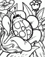 /album/fotogaleria/dibujo-mariquita-naturaleza-gif/